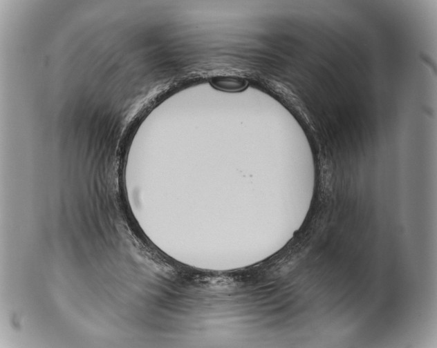 X0000101150395200807251053