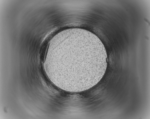 X0000101150396200807251052