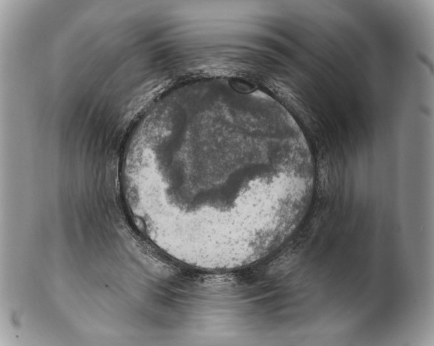 X0000101150398200807251052