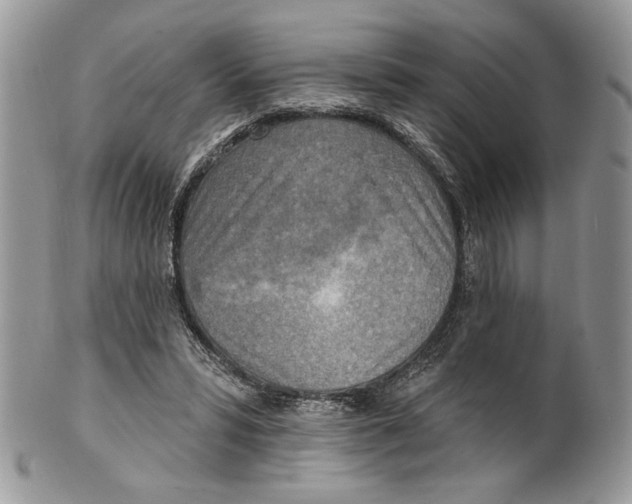 X0000101150399200807251052