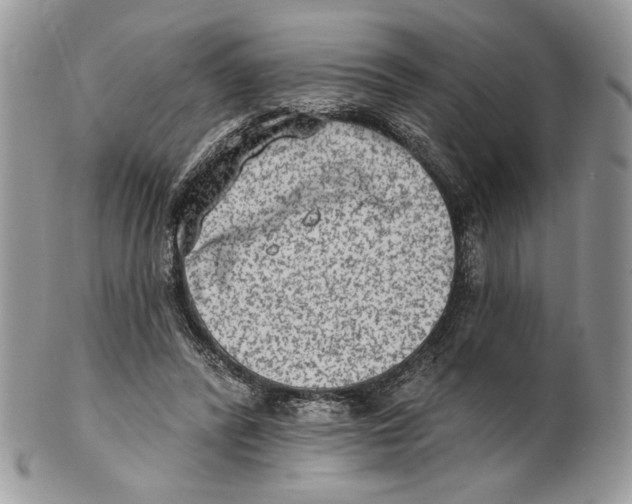 X0000101150400200807251052