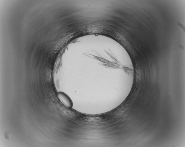 X0000101150401200807251052