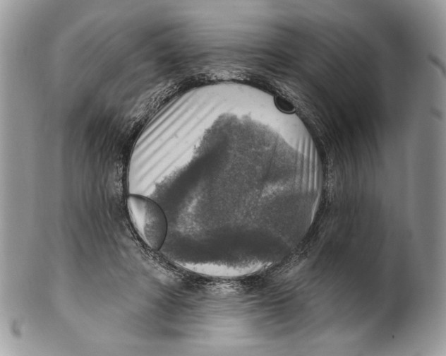 X0000101150402200807251052