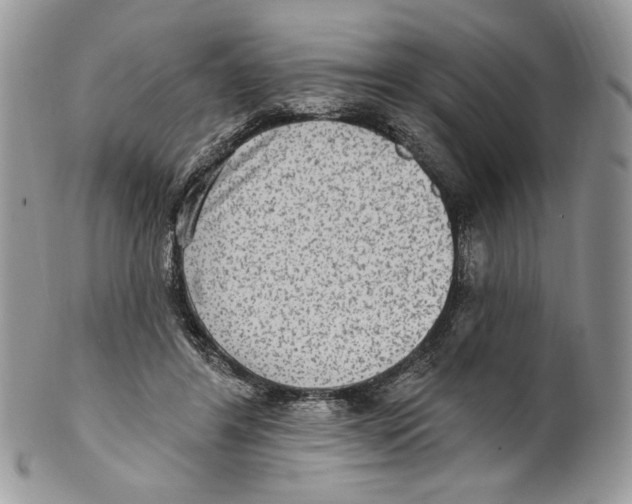 X0000101150404200807251052