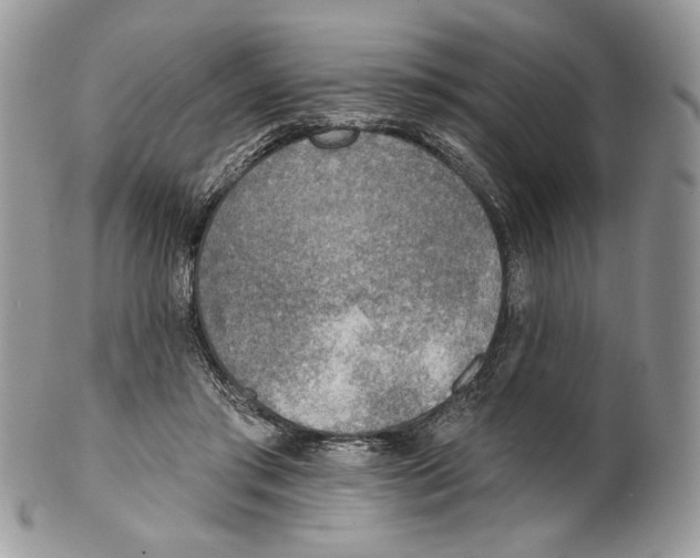 X0000101150405200807251052
