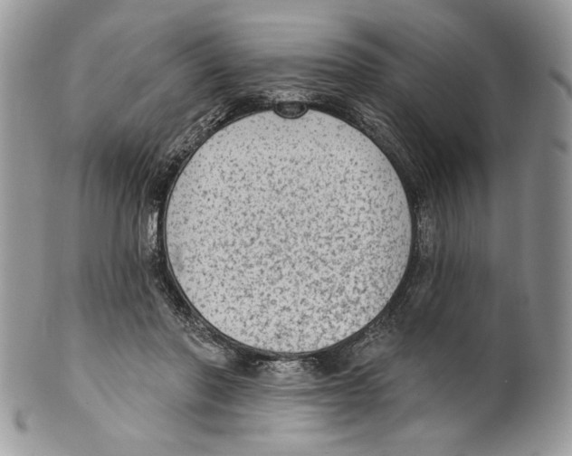 X0000101150406200807251052