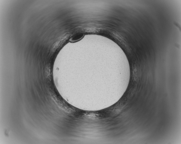 X0000101150407200807251052