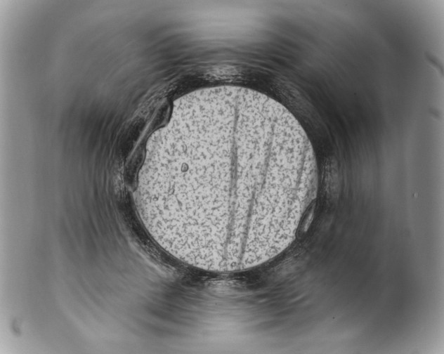 X0000101150408200807251052