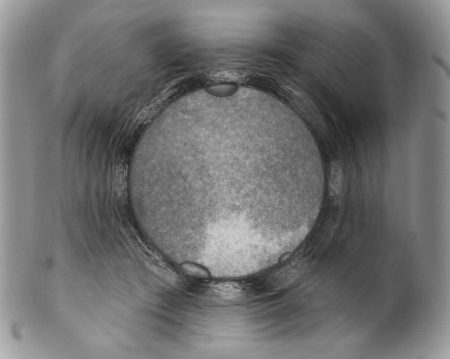 X0000101150409200807251052