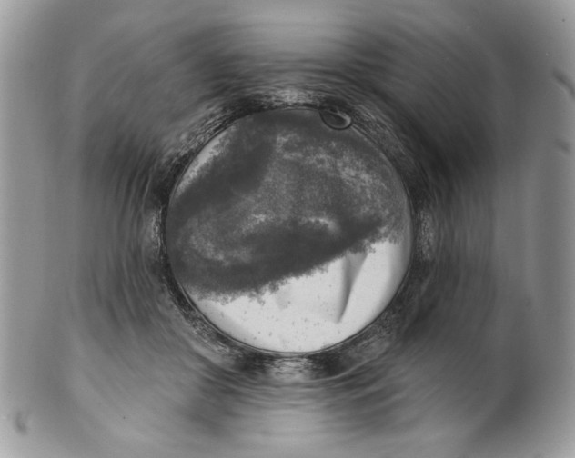 X0000101150410200807251052