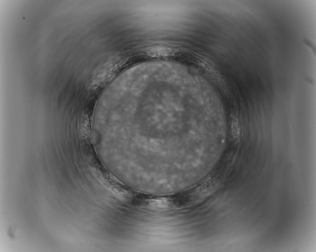 X0000101150411200807251052