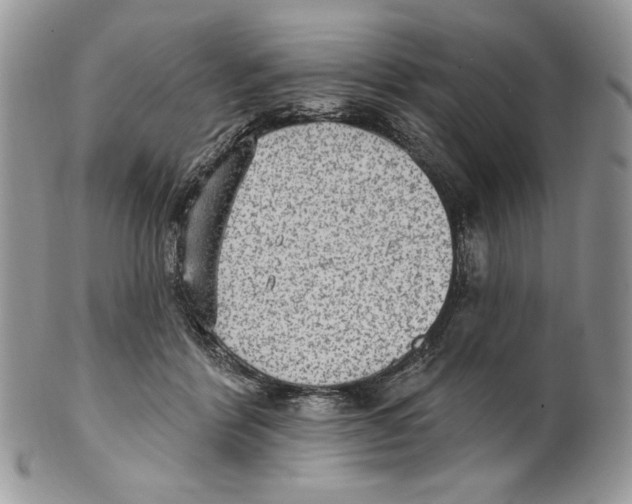 X0000101150412200807251052