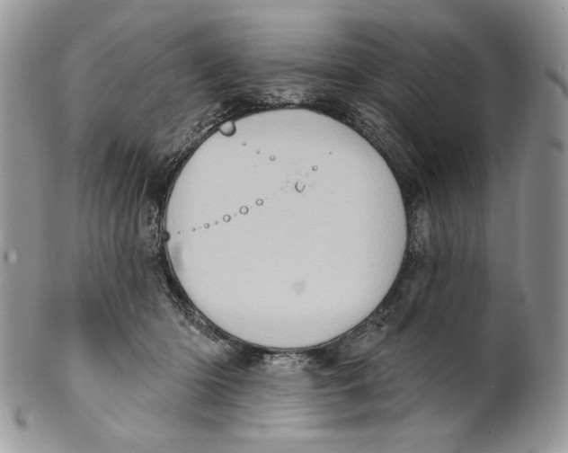 X0000101150414200807251052