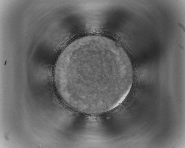 X0000101150415200807251052
