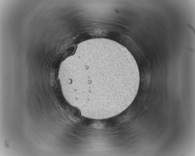 X0000101150416200807251052