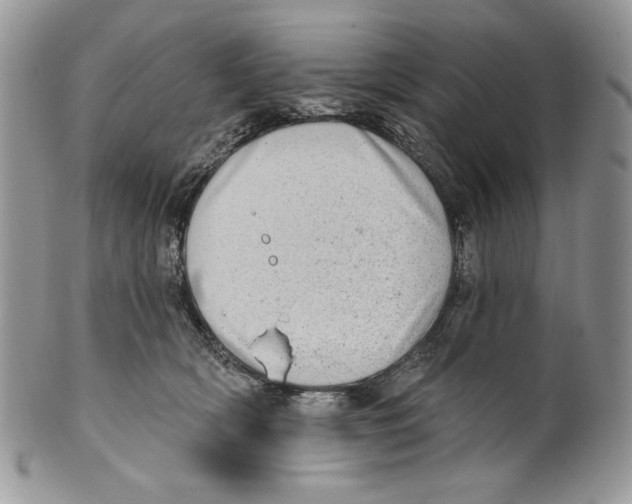 X0000101150418200807251052