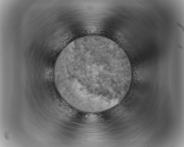 X0000101150419200807251052