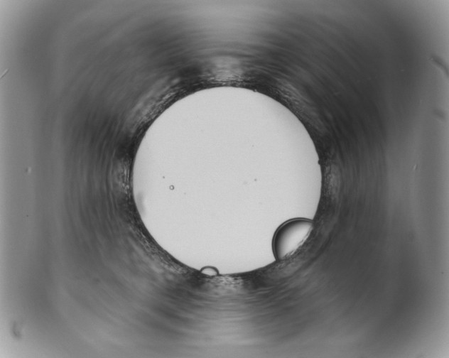 X0000101150421200807251052