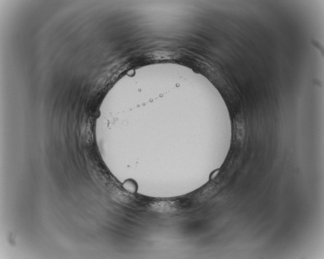 X0000101150422200807251052
