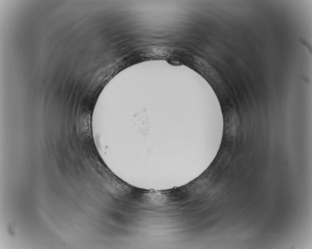 X0000101150425200807251052