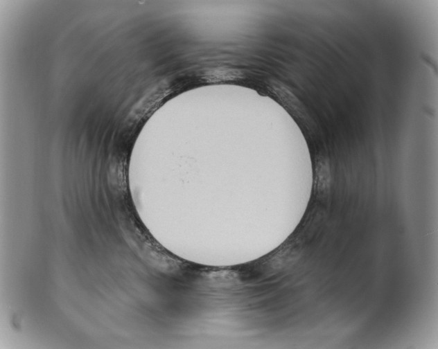 X0000101150426200807251052