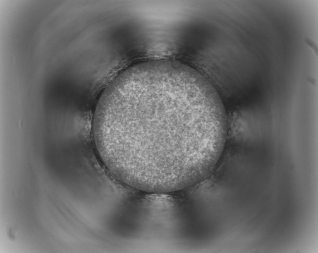 X0000101150427200807251052