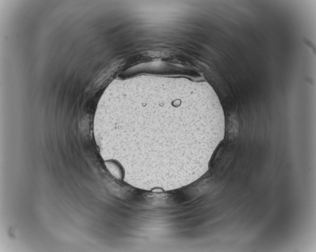 X0000101150428200807251052