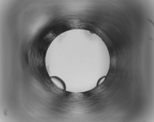 X0000101150429200807251052