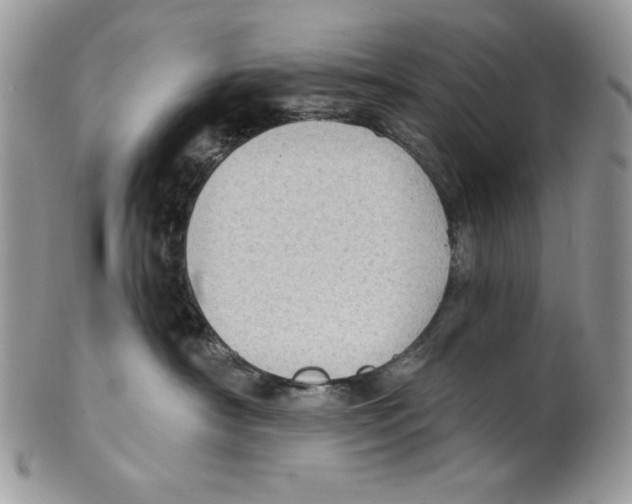 X0000101150430200807251052
