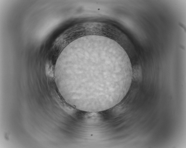 X0000101150431200807251052