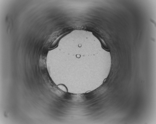 X0000101150432200807251052
