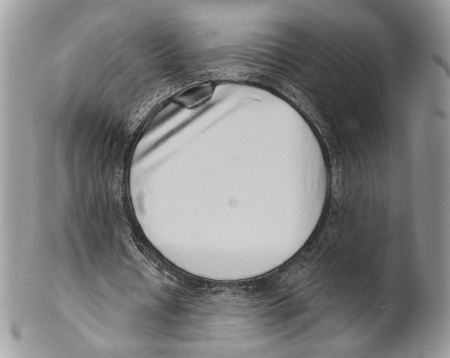 X0000101150434200807251051
