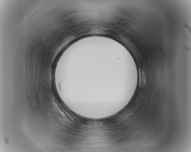 X0000101150435200807251051