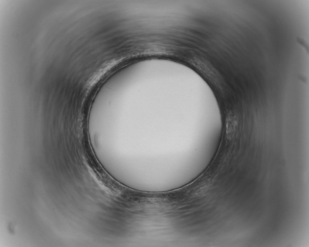 X0000101150436200807251051