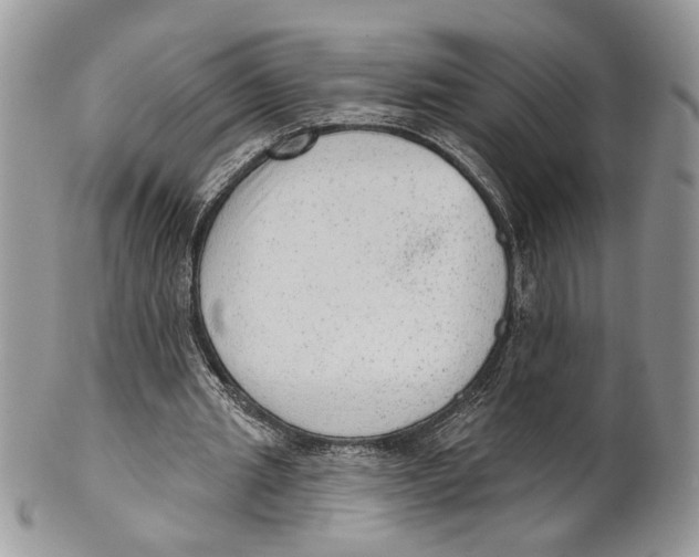 X0000101150437200807251051