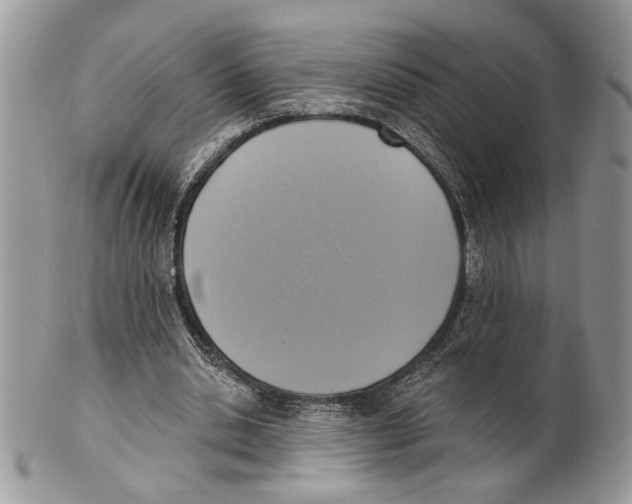 X0000101150438200807251051