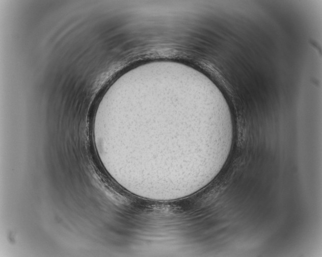 X0000101150439200807251051