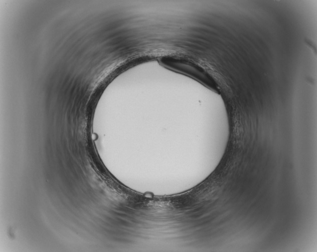 X0000101150440200807251051