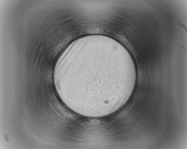 X0000101150441200807251051