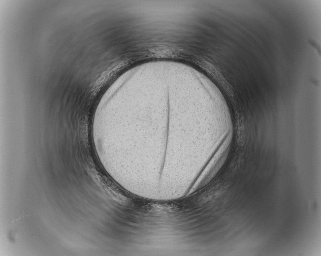 X0000101150442200807251051