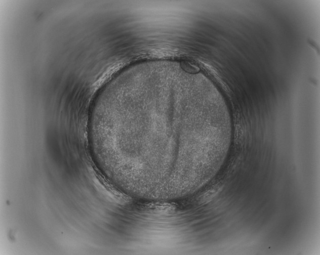 X0000101150443200807251051