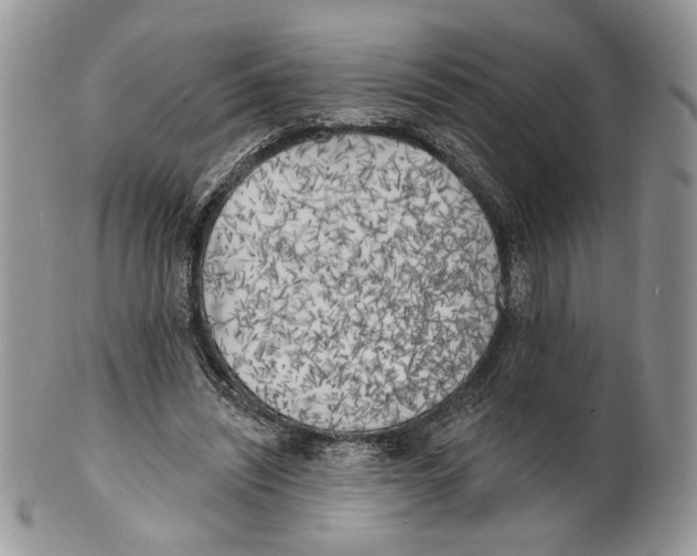 X0000101150444200807251051