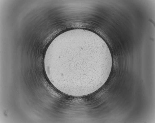 X0000101150445200807251052