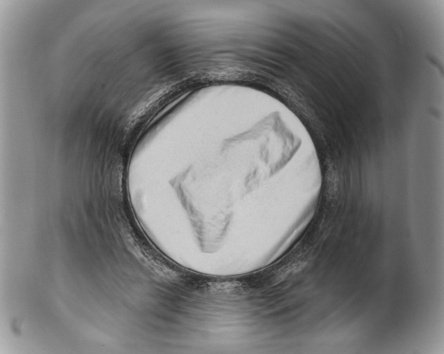 X0000101150446200807251052