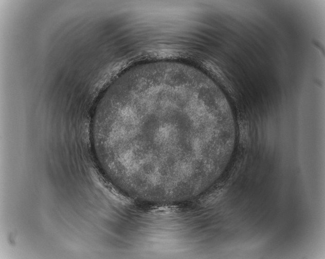 X0000101150447200807251052