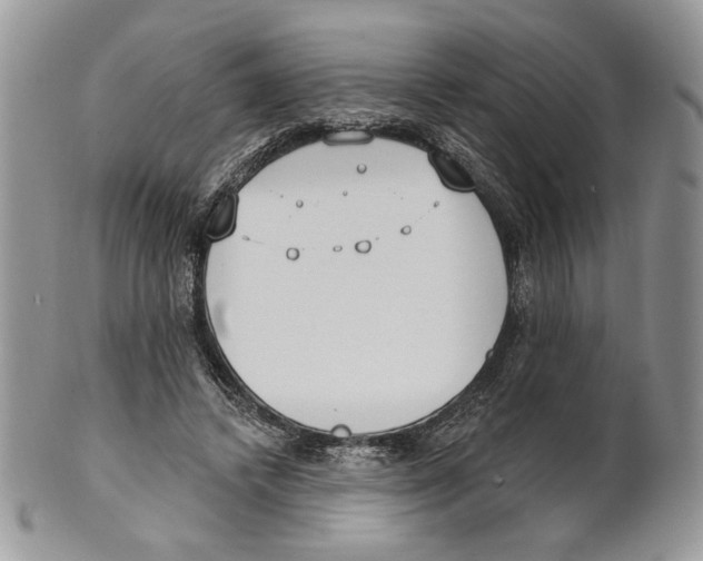 X0000101150448200807251052