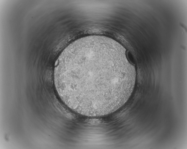 X0000101150449200807251052