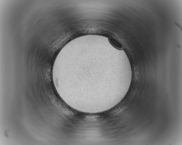 X0000101150450200807251052