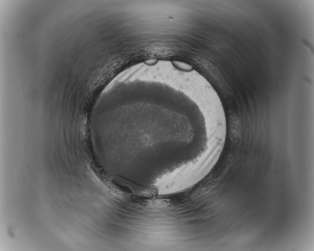 X0000101150451200807251052