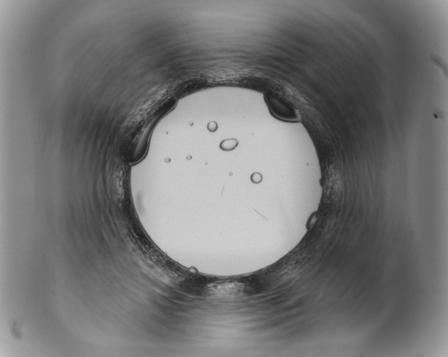 X0000101150452200807251052